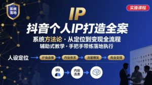 抖音个人IP系统落地实操大课，实操课程，辅助落地-泱泱学习社