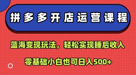 拼多多开店运营课程：蓝海变现玩法，轻松实现睡后收入，零基础小白也可日入5张-泱泱学习社