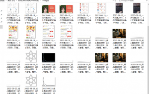 『高端精品』最新公主号无水印下载工具,图片 视频 音频 无脑小白一键下载-泱泱学习社