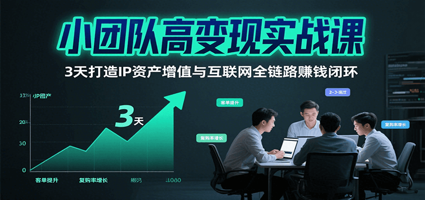 小团队高变现实战课，3天打造IP资产增值与互联网全链路赚钱闭环(第二期)-泱泱学习社