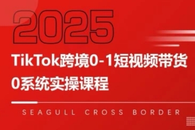 TikTok跨境0-1短视频带货，系统拆解TikTok跨境带货全链路，实现跨境可持续盈利-泱泱学习社