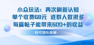 小众玩法再次刷新认知单个收费68米进群人数很多每篇帖子能带来6张的收益-泱泱学习社