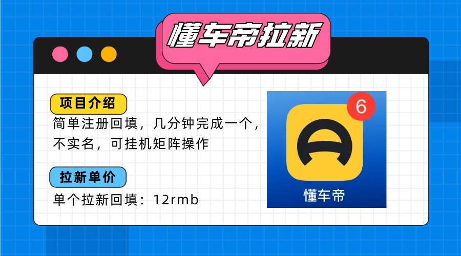 懂车帝邪修拉新玩法，简单注册回填，不sm，单个拉新12rmb，轻松日入200+-泱泱学习社