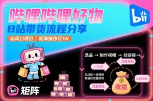哔哩哔哩好物,B站带货流程分享,新风口项目,矩阵操作月1W-泱泱学习社