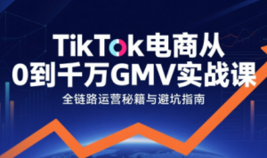 三千老师·TikTok电商从0到千万GMV实战课-泱泱学习社