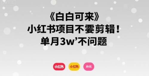 小白可来 小红书项目不需要剪辑 单月3w不是问题-泱泱学习社