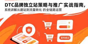 DTC品牌独立站策略与推广实战指南，系统讲解从建站到流量转化的全链路运营-泱泱学习社