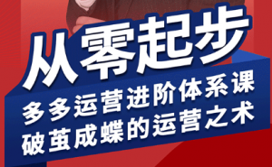 海神·拼多多运营进阶系统课(更新8月)-泱泱学习社