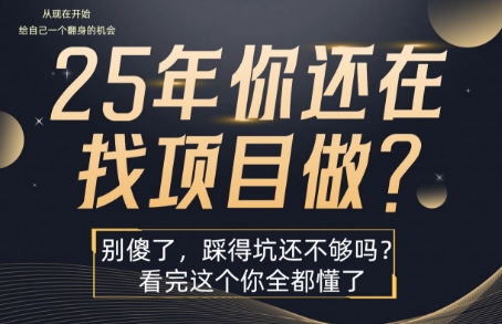 25年，你还在疯狂的找项目吗？别傻了，看完这个你都懂了【揭秘】-泱泱学习社