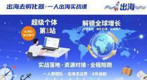 出海去孵化器，一人出海实战课，​超级个体第1站，解锁全球增长-泱泱学习社