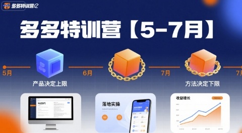 多多特训营【5-7月】产品决定上限，方法决定下限，各种玩法技巧落地实操-泱泱学习社