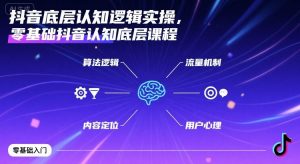 抖音底层认知逻辑实操，零基础抖音认知底层课程-泱泱学习社