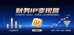 财务IP变现营：9大变现方式、定位设计、产品包装，成交与群发售批量转化-泱泱学习社