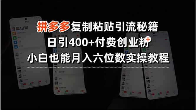 拼多多复制粘贴引流秘籍，日引400+付费创业粉，小白也能月入六位数实操…-泱泱学习社