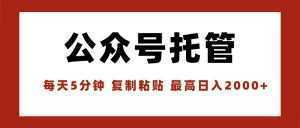 【公众号托管 】我提供文章,你领取发布,每天10分钟,最高躺赚1W-泱泱学习社