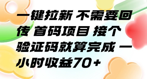一键拉新 不需要回传 首码项目 接个验证码就算完成 一小时收益70+【揭秘】-泱泱学习社