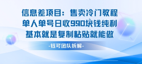 信息差项目：售卖冷门教程单人单号日收9张纯利基本就是复制粘贴就能做-泱泱学习社
