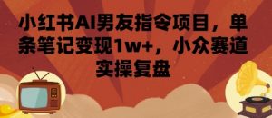 小红书AI男友指令项目，单条笔记变现1w+，小众赛道实操复盘-泱泱学习社