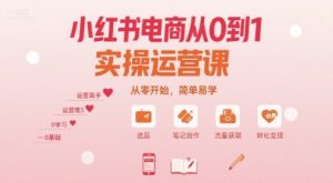 小红书电商从0到1实操运营课，从零开始，简单易学-泱泱学习社
