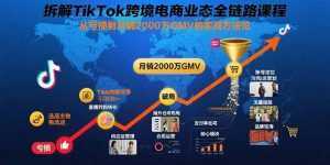拆解TikTok跨境电商业态全链路课程：从亏损到月销2000万GMV的实战方法论-泱泱学习社