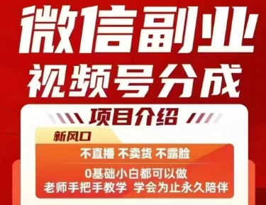 微信副业视频号分成，不直播 不卖货 不露脸，三五分钟即可完成一条作，每日收益几十、几张不等-泱泱学习社