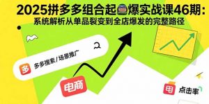 2025拼多多组合起爆实战课46期：系统解析从单品裂变到全店爆发的完整路径-泱泱学习社