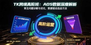 TK跨境高阶班：ADS数据深度解析，常见问题诊断与优化，数据驱动选品方法-泱泱学习社