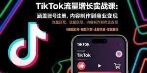 TikTok流量增长实战课：涵盖账号注册、流量获取、内容制作到商业变现-泱泱学习社