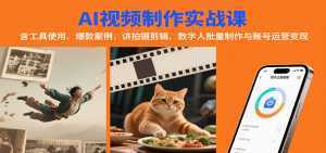 AI视频制作实战：含工具使用、爆款案例，讲拍摄剪辑、数字人批量制作与账号运营变现-泱泱学习社