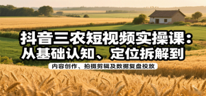 抖音三农短视频实操课:从基础认知、定位拆解到内容创作、拍摄剪辑及数据复盘投放-泱泱学习社