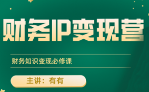 有有老师·财务IP变现营，财务知识变现必修课-泱泱学习社