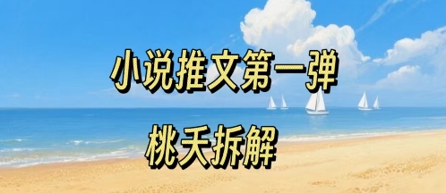 小说推文项目操作全流程第一弹，0粉就能做，门槛低非常适合新手-泱泱学习社