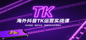 海外抖音TK运营实战课：账号搭建、精准引流、剪辑带货与私域转化-泱泱学习社