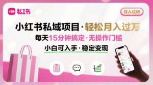 小红书私域项目 月入过W非常轻松 每天15分钟即可搞定，无任何操作门槛，小白可入手-泱泱学习社