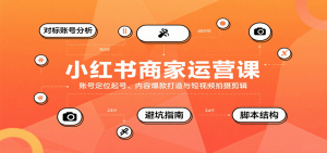 小红书商家运营课，账号定位起号、内容爆款打造与短视频拍摄剪辑-泱泱学习社