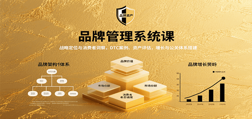 图片[1]-品牌管理系统课：战略定位与消费者洞察，DTC案例、资产评估，增长与公关体系搭建-泱泱学习社