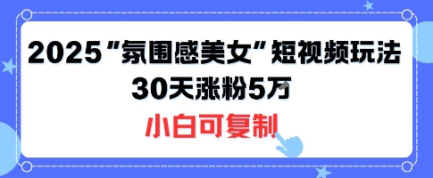 不露脸也能火！2025“氛围感美女”短视频玩法，30天涨粉5W小白可复制-泱泱学习社