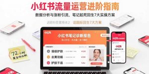 小红书流量运营进阶指南，数据分析与涨粉引流，笔记起死回生7大实操方案-泱泱学习社