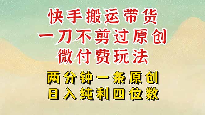 快手黑科技搬运带货，一刀不剪过原创，微付费投流玩法，轻松日入四位数…-泱泱学习社