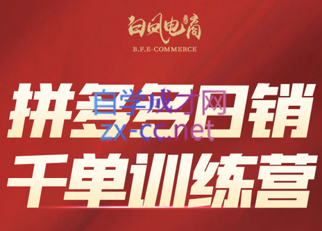白凤电商·拼多多日销千单训练营(更新8月)-泱泱学习社