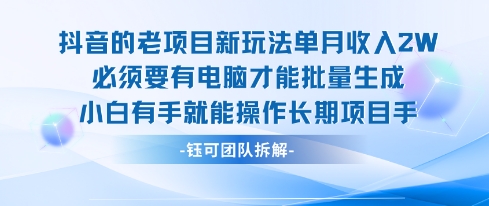 老项目新玩法单月收入2W小白有手就能操作长期项目-泱泱学习社