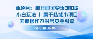 新项目单日即可变现3张的小白玩法无脑操作不封号安全引流-泱泱学习社
