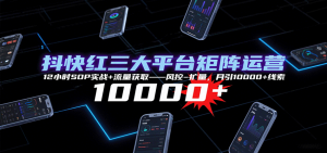 抖快红三大平台矩阵运营,12小时SOP实战+流量获取-风控-扩量,月引10000+线索-泱泱学习社