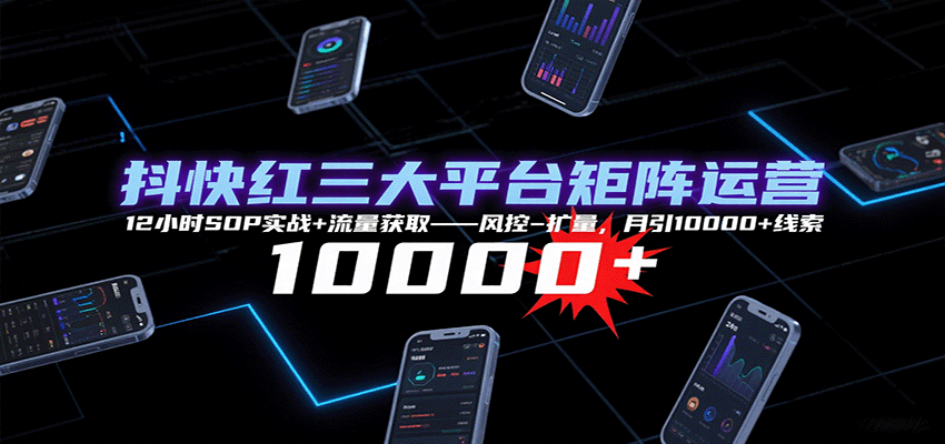 图片[1]-抖快红三大平台矩阵运营，12小时SOP实战+流量获取-风控-扩量，月引10000+线索-泱泱学习社