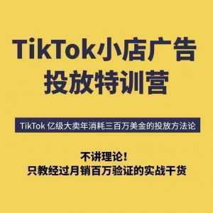 TikTok小店广告投放特训营，6天破局计划专治各种“投不动”，教你经过月销百万验证的实战干货-泱泱学习社