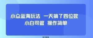 小众蓝海玩法 一天搞了四位数 小白可做 操作简单-泱泱学习社