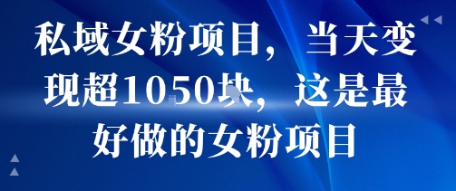 私域女粉项目，当天变现超1k，这是最好做的女粉项目，可放大操作-泱泱学习社