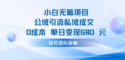 小白无脑项目公域引流私域成交0成本单日变现680米-泱泱学习社