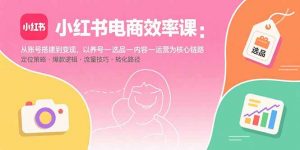 小红书电商效率课：从账号搭建到变现，以养号-选品-内容-运营为核心链路-泱泱学习社