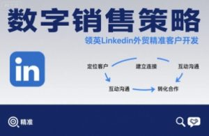 数字销售策略领英LinkedIn外贸精准客户开发-泱泱学习社